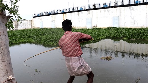 Good Fight to Catch a Good Size labeo rohita fish & Mullet | Kadal Raasa Fishing