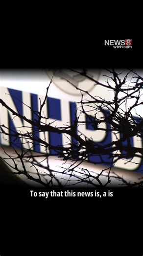 New Haven Police Chief Theft Allegations