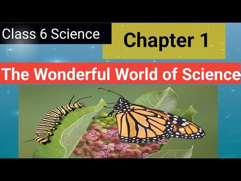 The Wonderful World of Science | Class 6 Science Ncert | Chapter 1