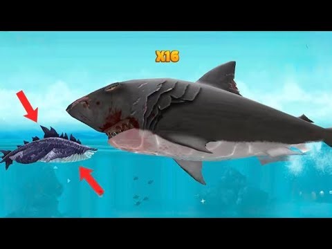 Hungry Shark Evolution - Bigger Enemy Megalodon vs Sharkjira Mod - All 25 Sharks Unlocked Gameplay
