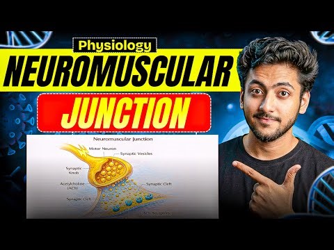 Physiology - Neuromuscular Junction | MBBS 1st Year | Explanation With Exam Notes |MBBS World