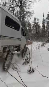 Surviving the Alaskan Wilderness in a Hand-Built Shelter! 🌲🔥 #viral #shorts