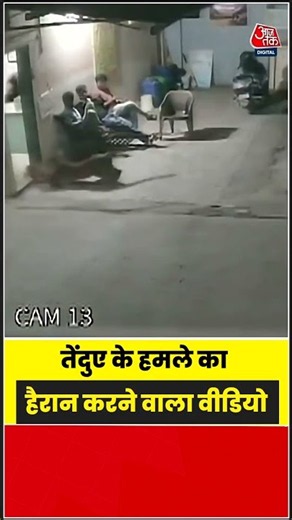 आदमी को छोड़ कुत्ते पर झपटा तेंदुआ, CCTV वीडियो वायरल | #Leopard #CCTV #Shorts