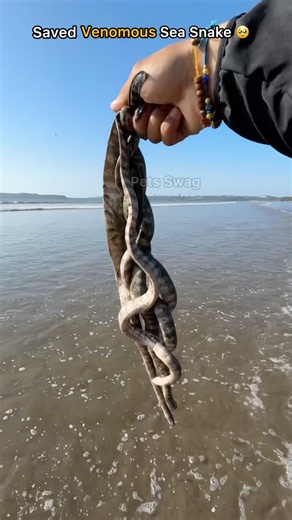 I couldn’t just watch… so i saved them 🥹