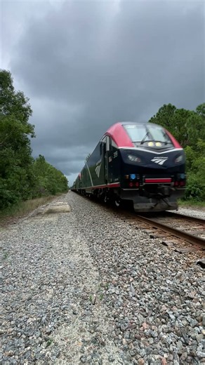 Holy Moly Speedy Amtrak Silver Meteor!