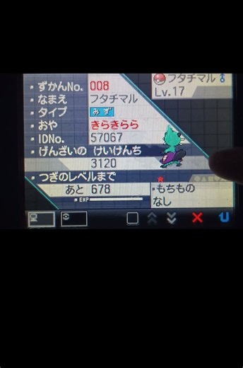 色違いフタチマル！ #shorts #ポケモンbw #色違いポケモン #ミジュマル