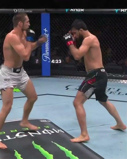 Trading blows #ufcabudhabi
