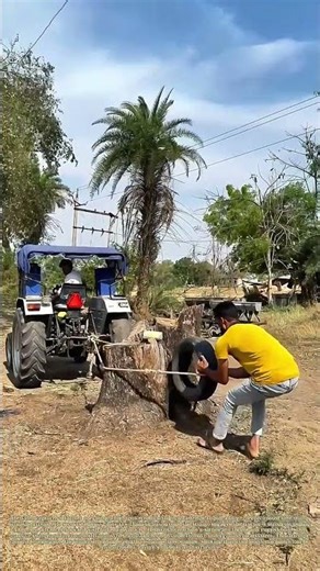 Towing Stumps: Why Even Powerful Tractors Sometimes Fail to Move Heavy Roots