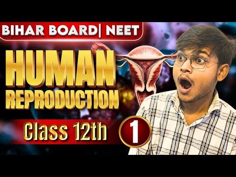 Male Reproductive System Explained | Human Reproduction Class 12 | Bihar Board + NEET 2027