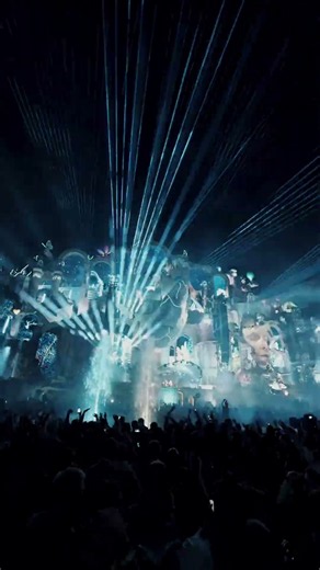 The magic is real. The memories last forever.