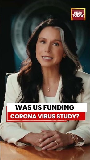 Was US Funding Coronavirus Study? Tulsi Gabbard Exposes Fauci | India Today