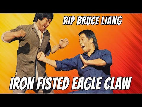 Wu Tang Collection - Iron fist Eagle Claw + The Chinese