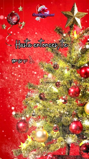 🌿 Fin de Año — Sereno y Esperanzador Hoy hacemos una pausa para respirar, soltar lo que pesa y quedarnos con lo que sana. El nuevo año es una nueva página, un comienzo lleno de calma, fe y esperanza. 🤍 Que encuentres paz en cada paso del camino. — Contenido pensado para: Personas que buscan calma y bienestar interior | Cumpleaños.net