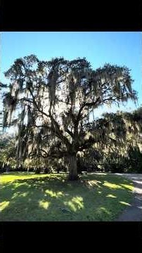 Visit Charleston SC with me !