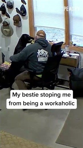 It's break time one way or another #dogs #coworker #workfromhome #fails #shorts
