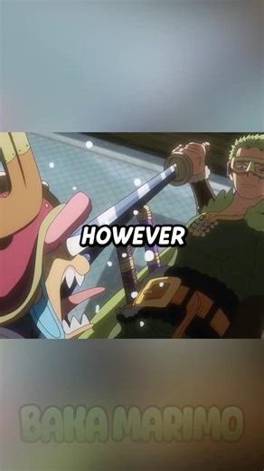 Chopper Realized That Zoro Hates Him
