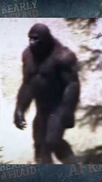 BIGFOOT Spotted In The CALIFORNIA Wilderness By A HIKER!? #bigfoot #cryptid