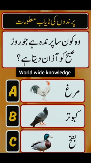 Quiz Questions to Boost Knowledge: Fun Quiz Challenge