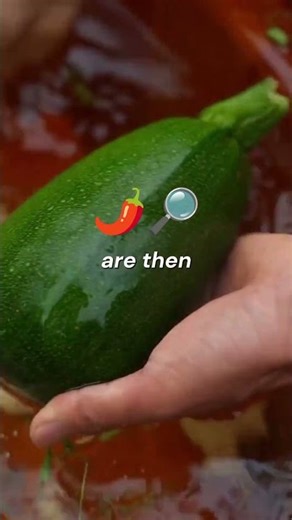 Traditional Rainy Day Village Cooking | Fresh Vegetables & Rice Over Open Fire