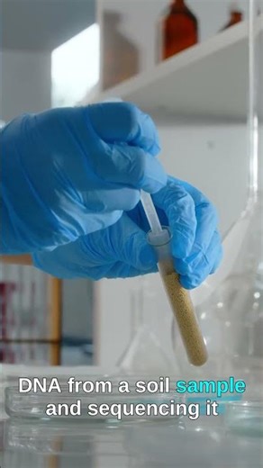 How Soil Bacteria Caught a Killer | Forensic Briefing