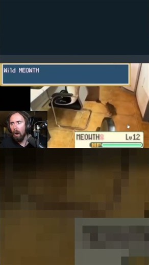 I Did Not Expect the Cat to React Like That #cat #reaction #funny
