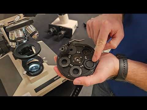 Behind the Optics: Olympus BHS DIC & Fluorescence Setup | Munday Scientific