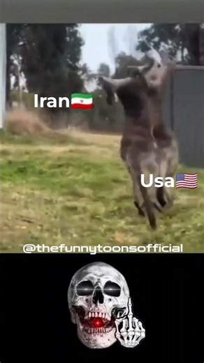 #aesthetic #funnyvideo #israel #iran