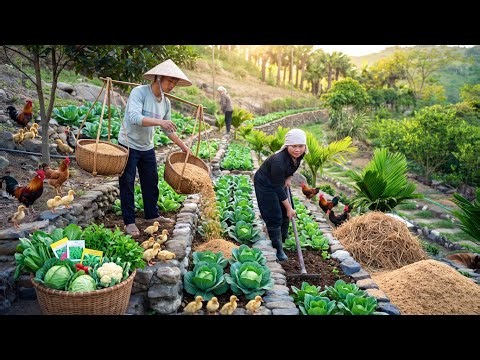 They Harvest Other People’s Crops to Sell — I Built My Own Garden From Scratch | Bushcraft Farm
