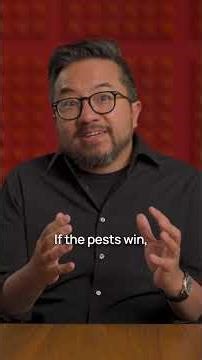 AI for Low-Pesticide Agriculture