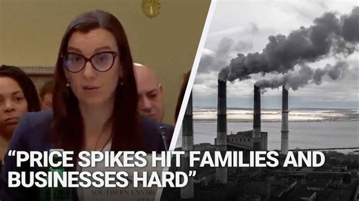 US House testimony: “Price spikes like those we saw in 2022 hit families and businesses hard”