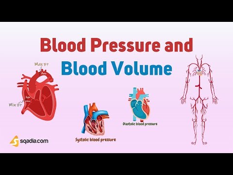 Blood Pressure and Blood Volume | Introduction