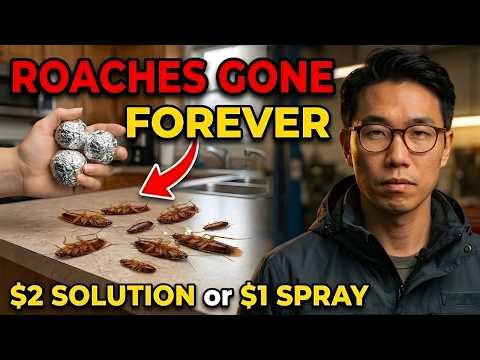 Kill Cockroaches at Home with Aluminum Foil – Quick, Cheap & Powerful! | William Scott Tips