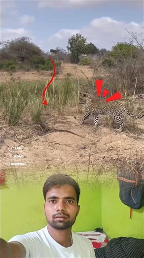 Who will win Leopard vs Monitor Lizard 😱😱 #shorts #explore #leopard #viral