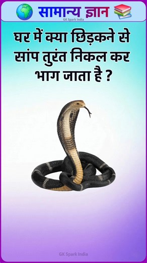 TOP 20 GK questions 🔥📚।। GK question and answer ✍️।। GK Spark India #shorts #gkinhindi