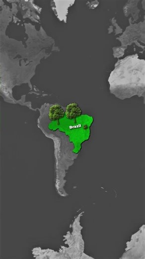 Brazil is Bigger Than You Think #brazil #geography #indiatobrazil #india