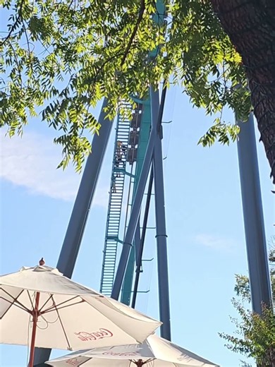 BREAKING: Man dies after falling from the Goliath roller coaster at Six Flags in Cobb County, GA
