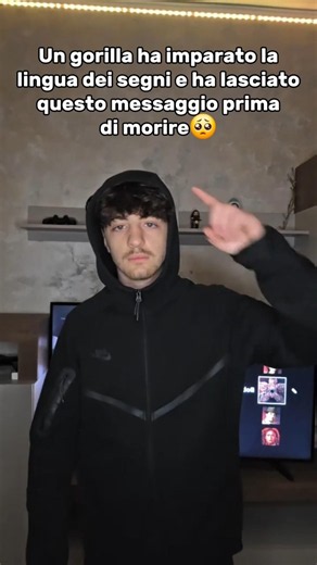 Iscriviti e lascia like per Koko🥺