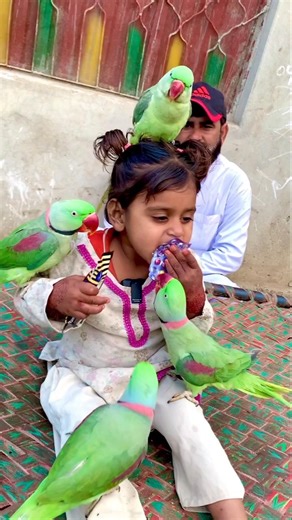 “Parrot Short | Aliza Playing with Five Loving Parrots 🦜❤️”