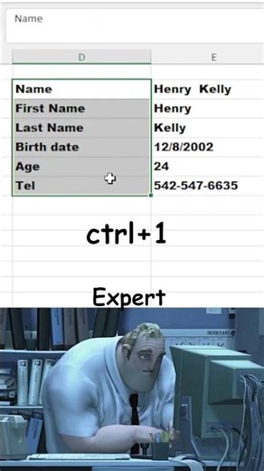Excel Custom Formatting Guide