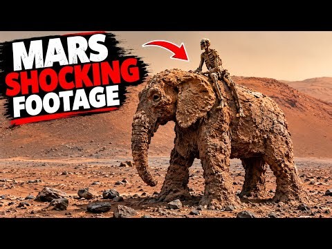 NASA's Perseverance Rover Reveals Stunning 360° Mars Real Footage | Live Mars in 4k: 2137
