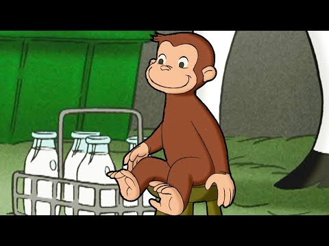 ¡Cuidemos a los animales! | Jorge El Curioso En Español