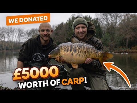 Giving Back to Carp Fishing | Fox Donates £5,000 of Carp to Community Lakes