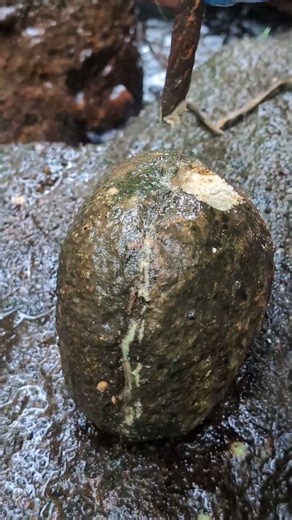 quartz mining 💎⛏️ #mining #gold #quartz #kuvars #nature