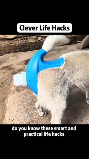 Essential Life Hacks for Everyday Smartphone Use