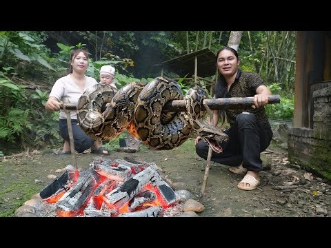 Rescuing a wild boar from an attack by a giant python, Roasting a giant python on the farm