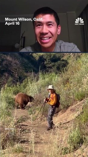 Bear charges hiker in Southern California