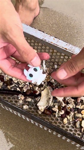 White Dragon & Gold Ring Found Under Waves! Cleaning Beaches & Finding Treasures!