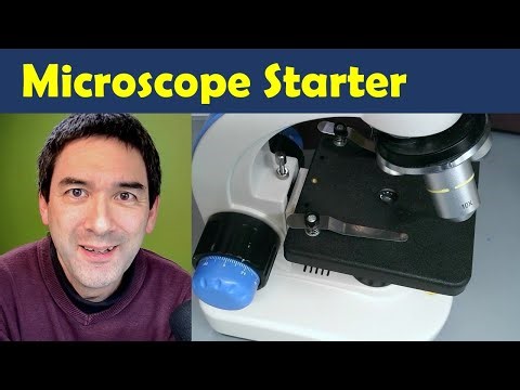 🔬 How to use a Microscope (for Children)