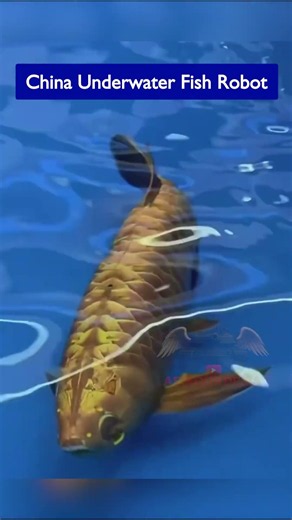 China’s New Underwater Robotic Fish