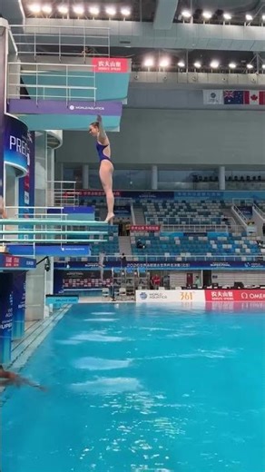 Springboard Dives That Will Leave You Speechless!